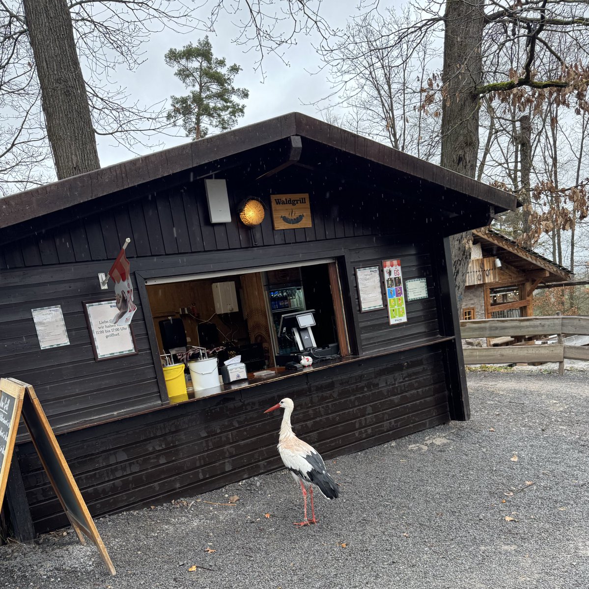 Thomas Mueller tweet media