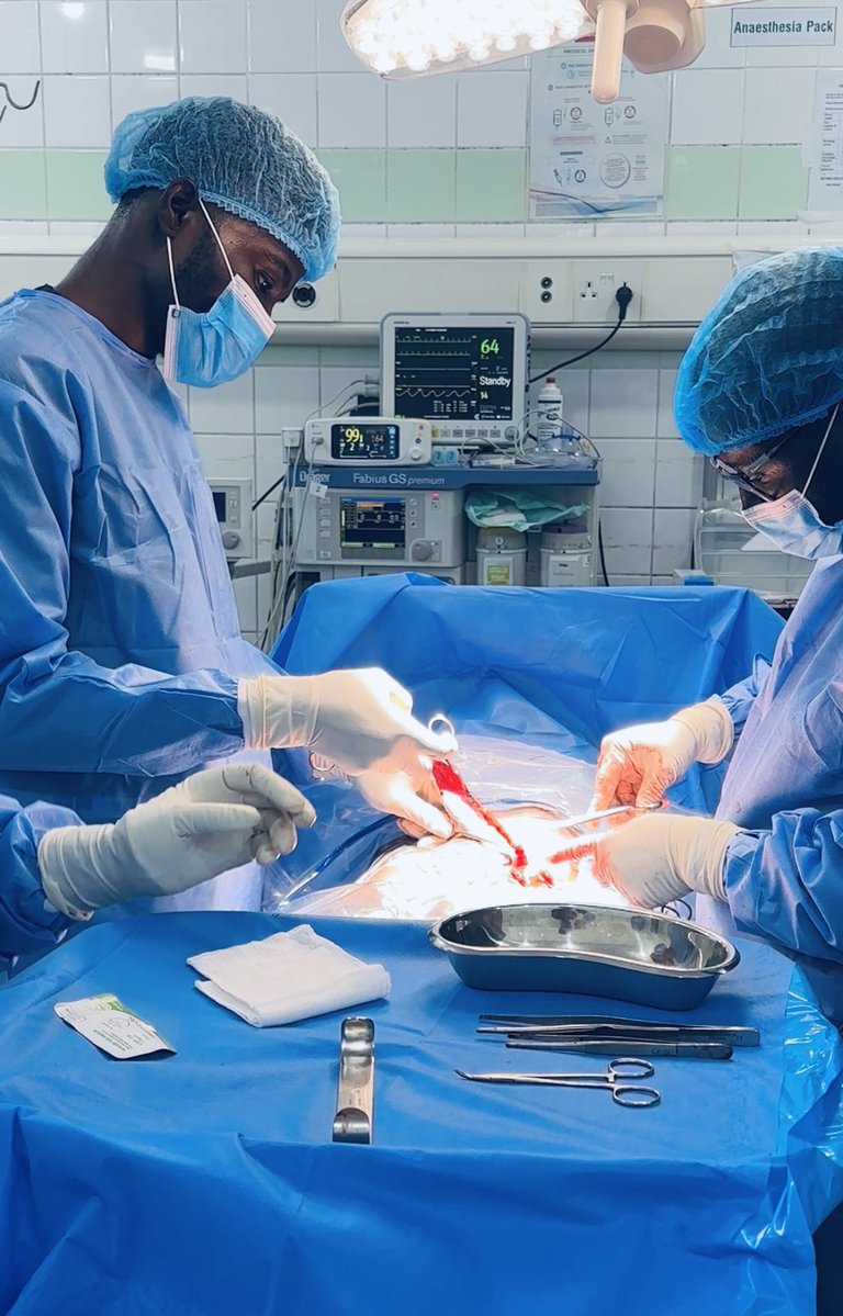 ѕℓαѕн🕷️ tweet media