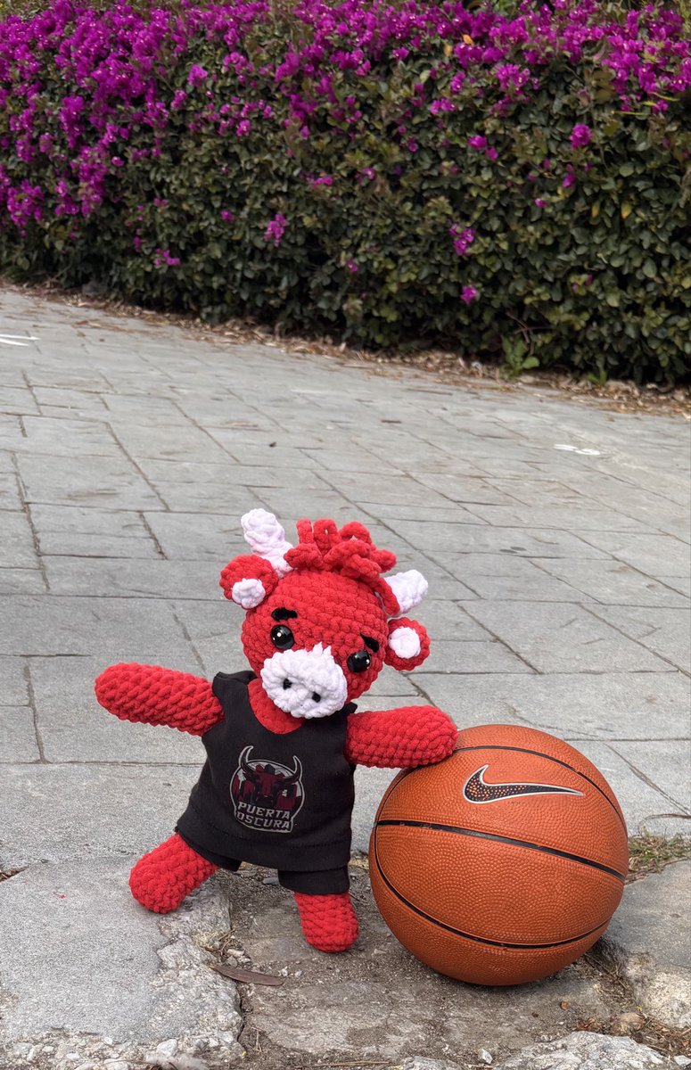 Jose91109's tweet photo. Diario de MiniMum: ⛵️🏴‍☠️ volvemos a surcar los mares con el Baby @FundlaCaixa @CDJPuertaOscura ❤️🖤 para enfrentarnos a la tercera batalla de esta explosiva jornada⛹🏻‍♂️

#MareaRoja
#MiniMumPirata https://t.co/kUEzyTtaUP