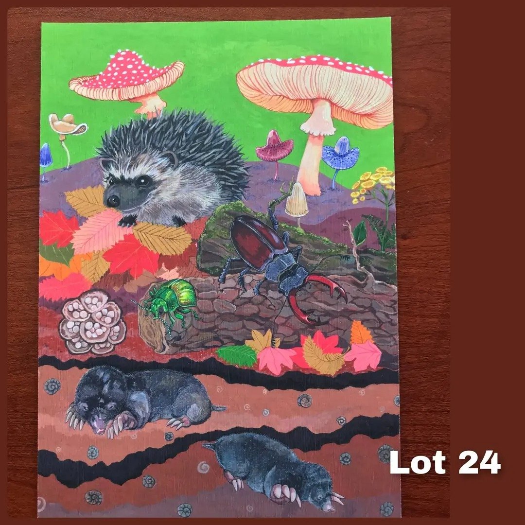 Nesquik1962's tweet image. Facebook #HelpAnimalsUK #Auction lots. Go bid to help animal #rescues &amp;amp; #sanctuary.
Paintings, different coloured lined boxes, bag. Some are allotted to a specific rescue, some you choose rescue from their directory. Place a bid &amp;amp; the end of the week if you win pay the rescue