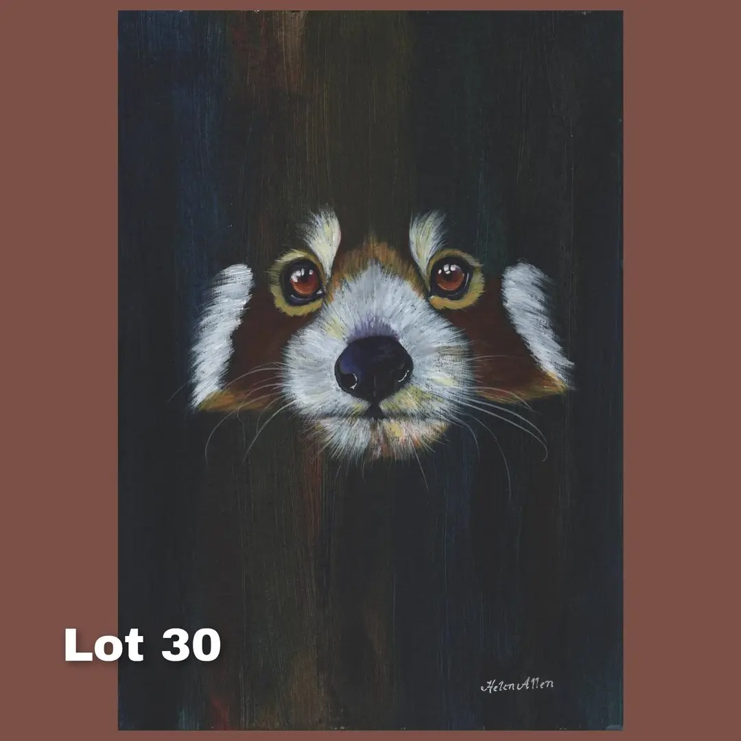 Nesquik1962's tweet image. Facebook #HelpAnimalsUK #Auction lots. Go bid to help animal #rescues &amp;amp; #sanctuary.
Paintings, different coloured lined boxes, bag. Some are allotted to a specific rescue, some you choose rescue from their directory. Place a bid &amp;amp; the end of the week if you win pay the rescue