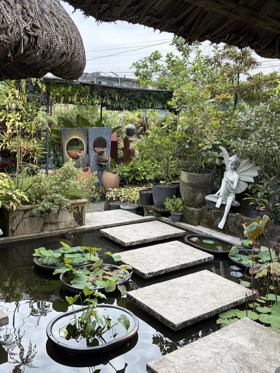 🦷🪽 tweet media