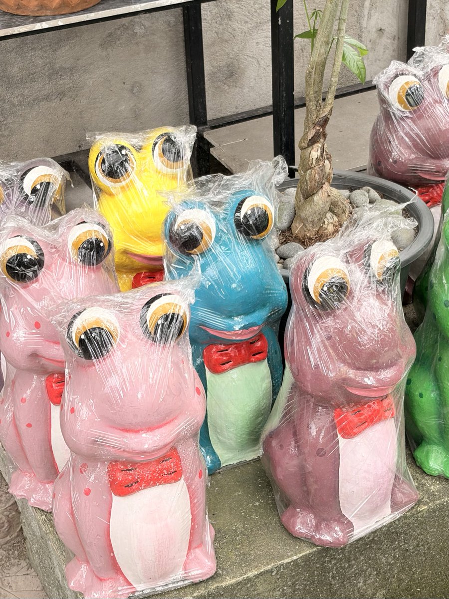 🦷🪽 tweet media