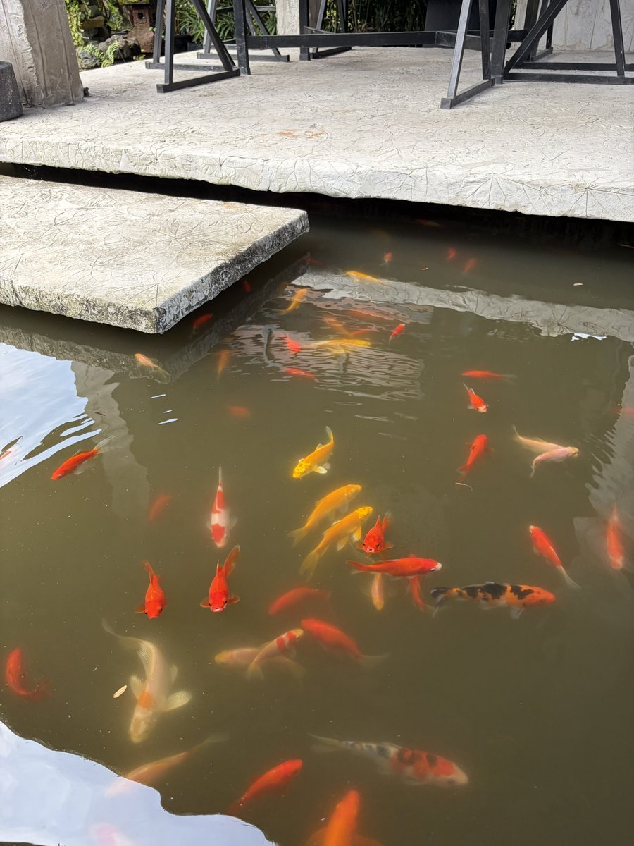 🦷🪽 tweet media