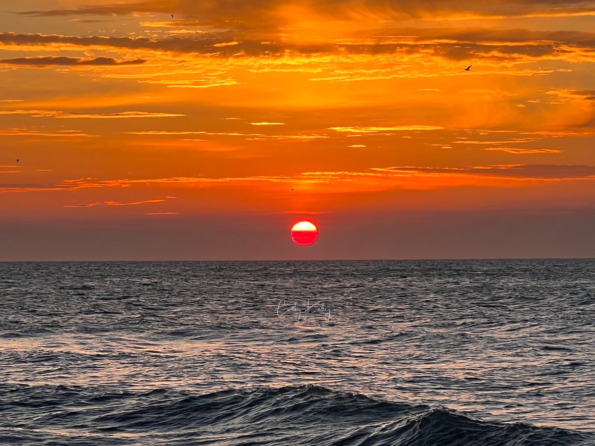 catsunrisechick's tweet photo. Saturday Vibes from Surfside Beach, South Carolina 🩷🌅#sunrise @EdPiotrowski @jamiearnoldWMBF @AndrewWMBF @liamswx @jgreenhillwx https://t.co/Tb3awyaYpR