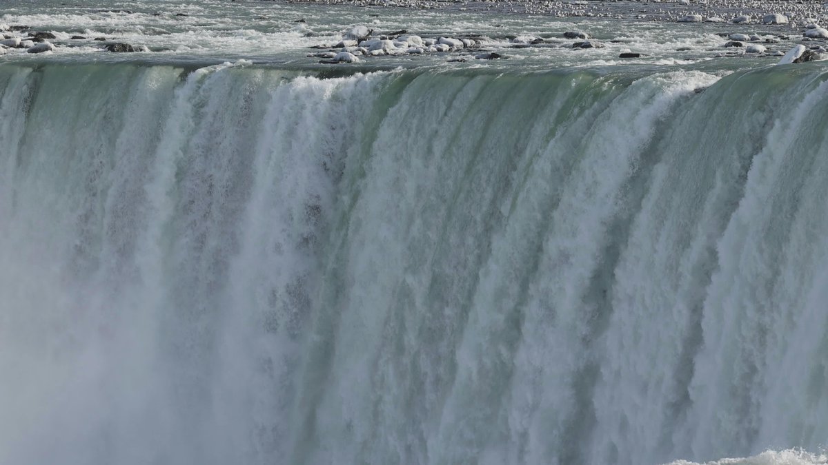 狂野🐴 tweet media