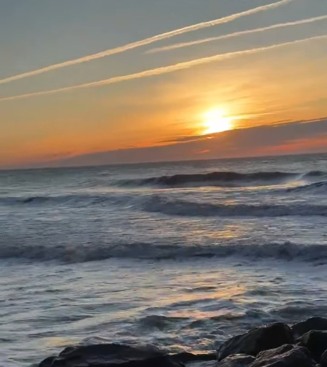 mafia_mastiff's tweet photo. From the Beach in Atlantic City, New Jersey have a great day.π
πΊπΈ #ACNJ https://t.co/5eGIy3zknk