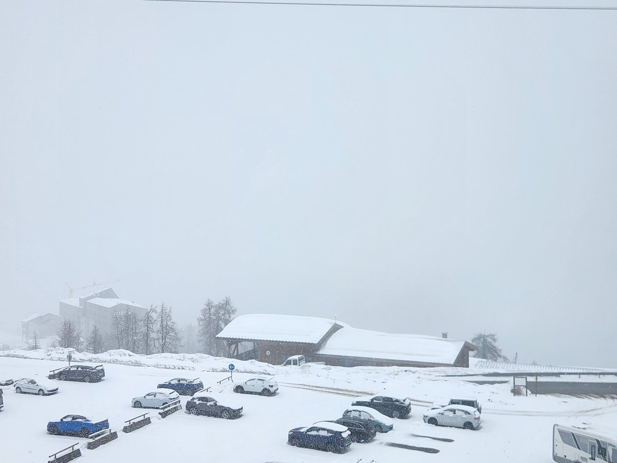 St peter il tweet media