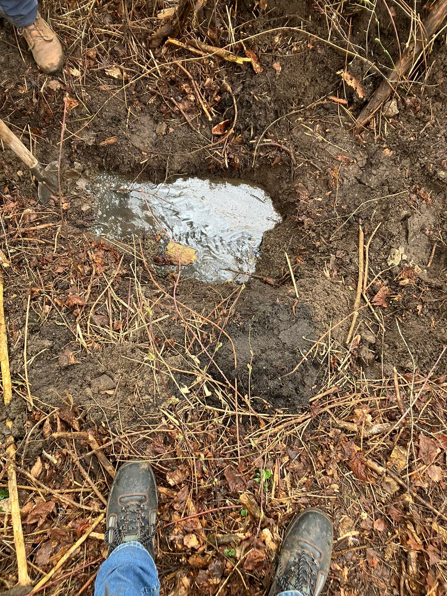 Mtb-Route #Roggebotzand powered by Perima Cycling tweet media