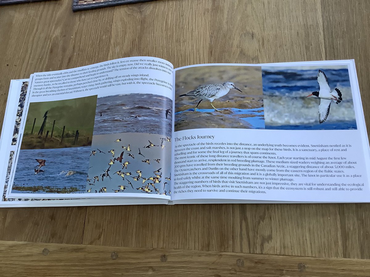 Les Bunyan 📷🍫🐻🦉🦅🏞🇬🇧 tweet media