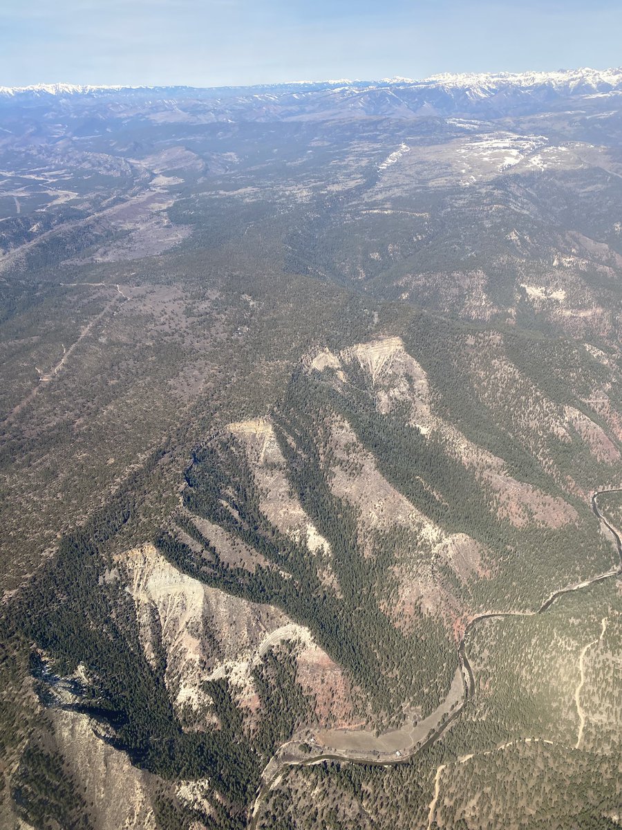 Roger Cecil tweet media