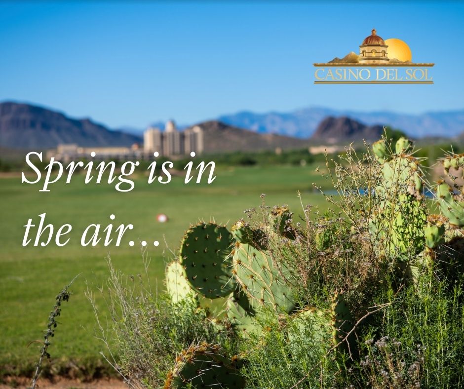 Casino Del Sol tweet media