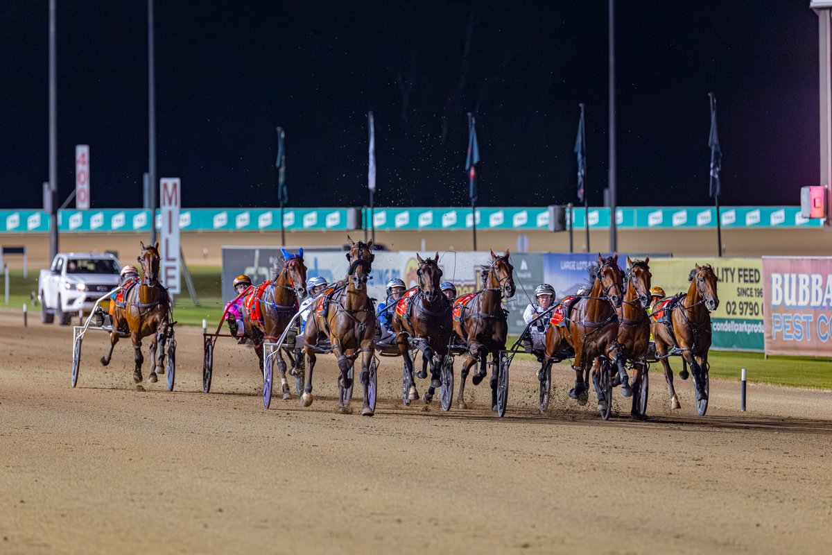ClubMenangle's tweet photo. Leap To Fame is our 2026 Garrards Miracle Mile champion in a mile of 1.49.0.
The seven-year-old trained and driven by Grant Dixon was also victorious in the $1 Million Grand Circuit Event in 2024.
#ClubMenangle #TABCarnivalofMiracles #feelthemagic https://t.co/wiV8dOmBE8
