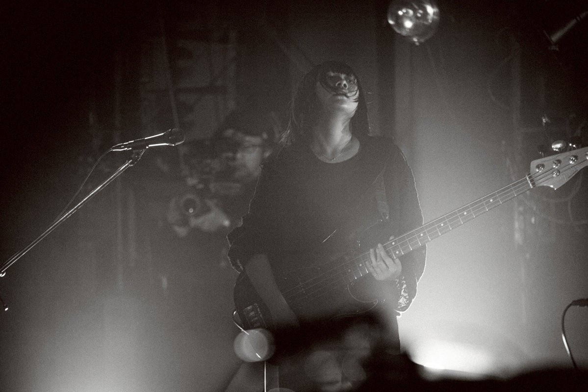 ハク。 tweet media