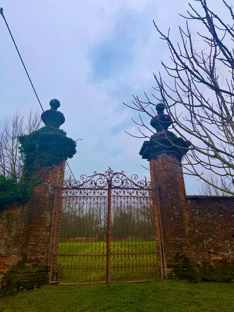 stefanomeloni12's tweet image. 17 km  
pioggia tranquilla  
gambe ok  
umore buono 
mission accomplished 🌧️🏃‍♂️#run #runner #cosedicorsa #running