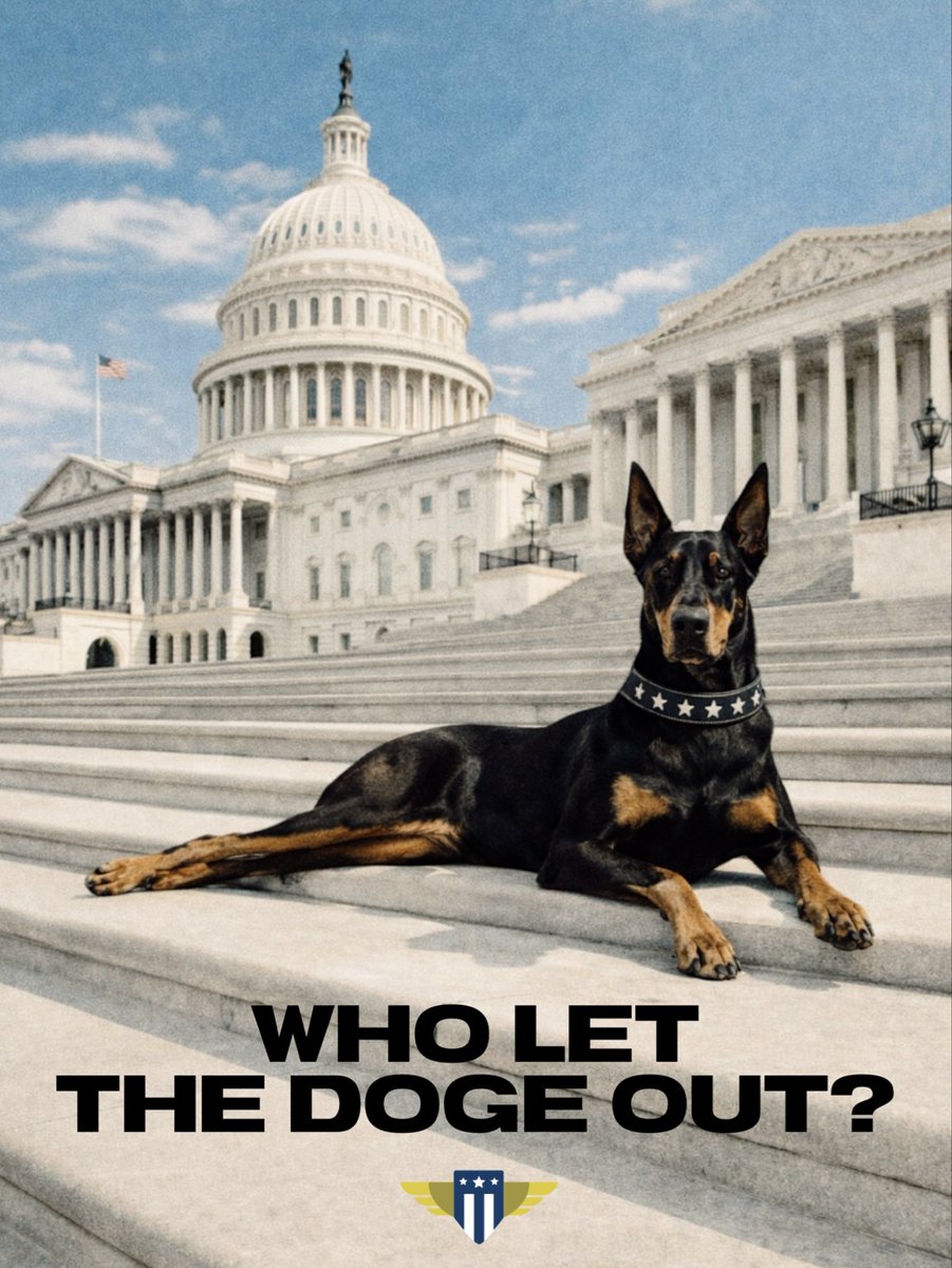 U.S. DOGE Service tweet media