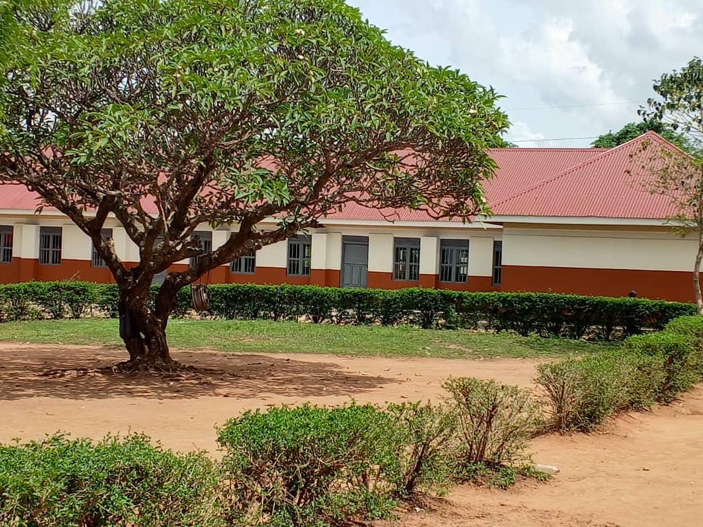 Bunae Bright tweet media