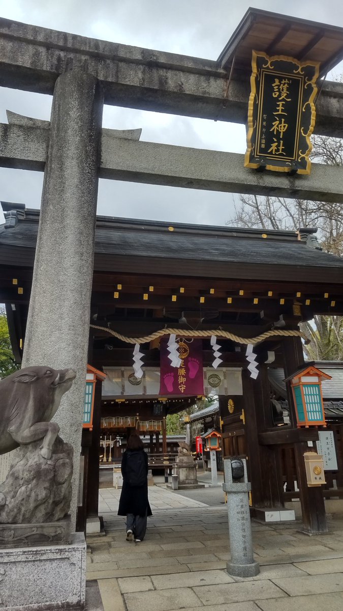 bambooonthehorse tweet media