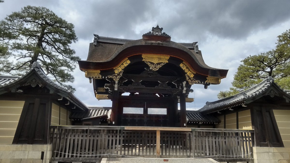 bambooonthehorse tweet media