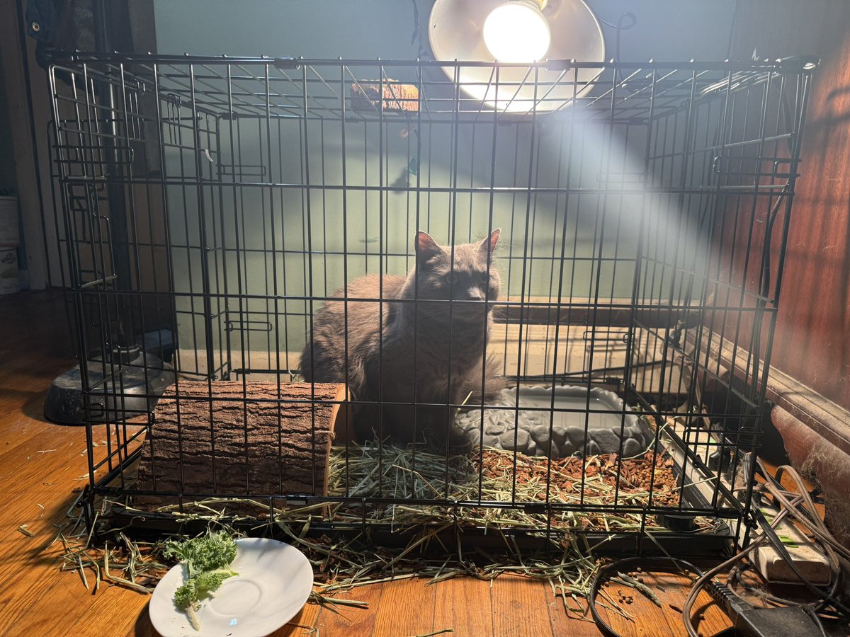 Andrew Ehrenreich tweet media