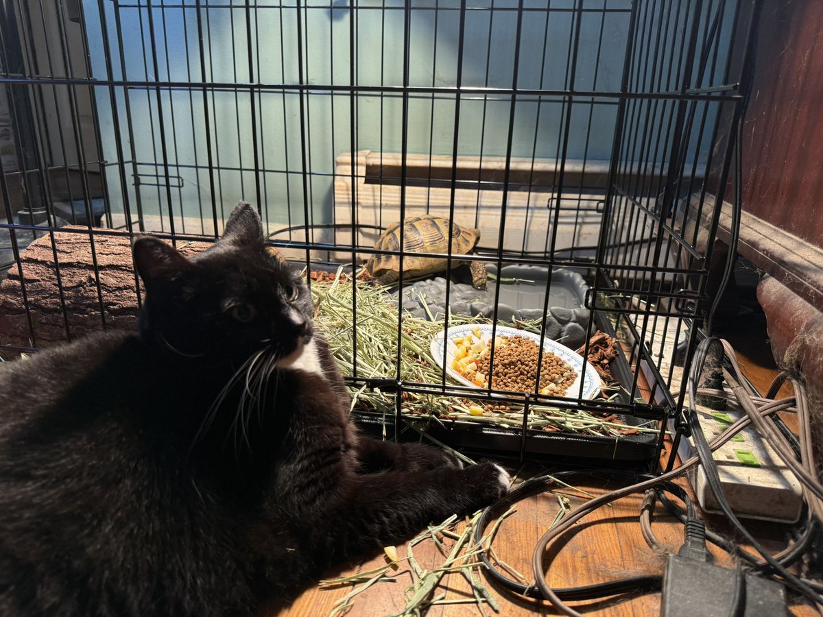 Andrew Ehrenreich tweet media