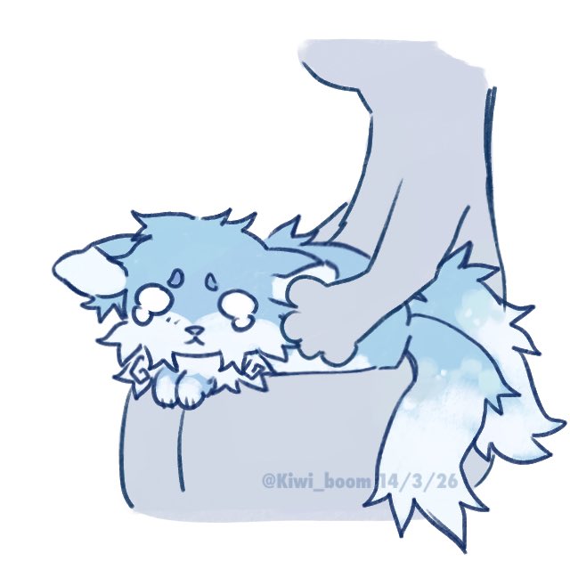 Kiwi 🥝 tweet media