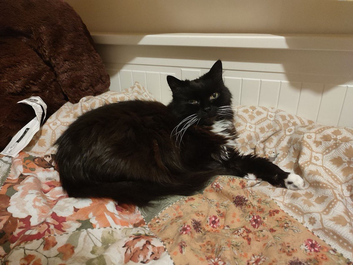 ana 👁️👁️ tweet media