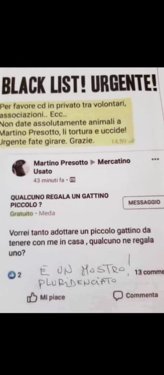 paolo occhi tweet media