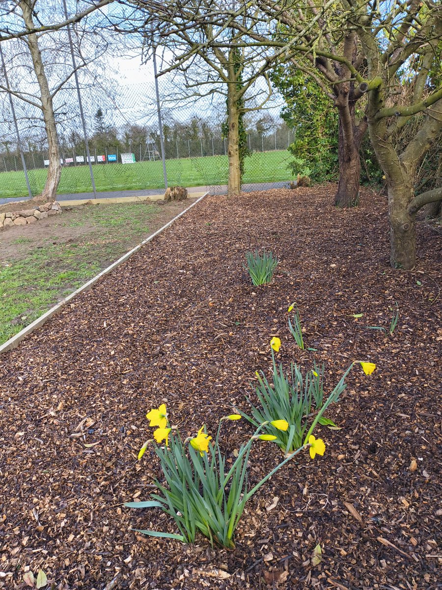 Hazel from Entrelac Yarns🇯🇪 tweet media