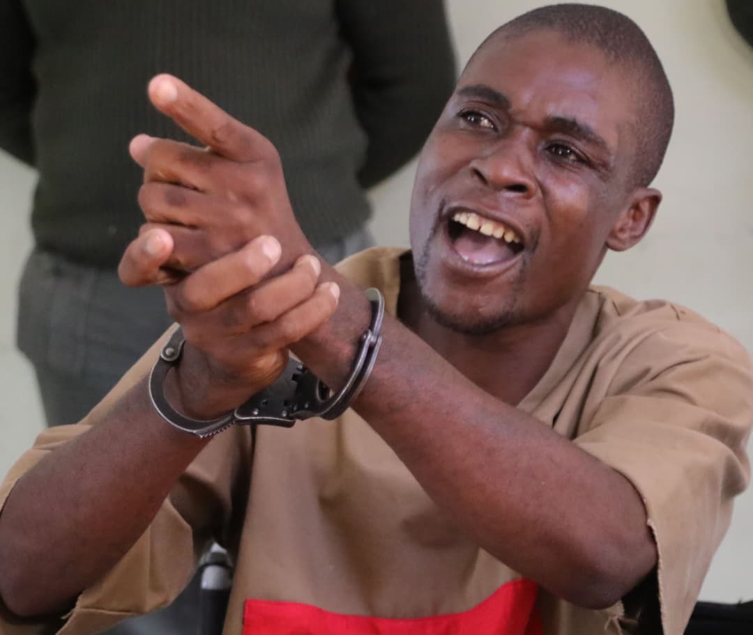 Zimviral 𝕏 tweet media