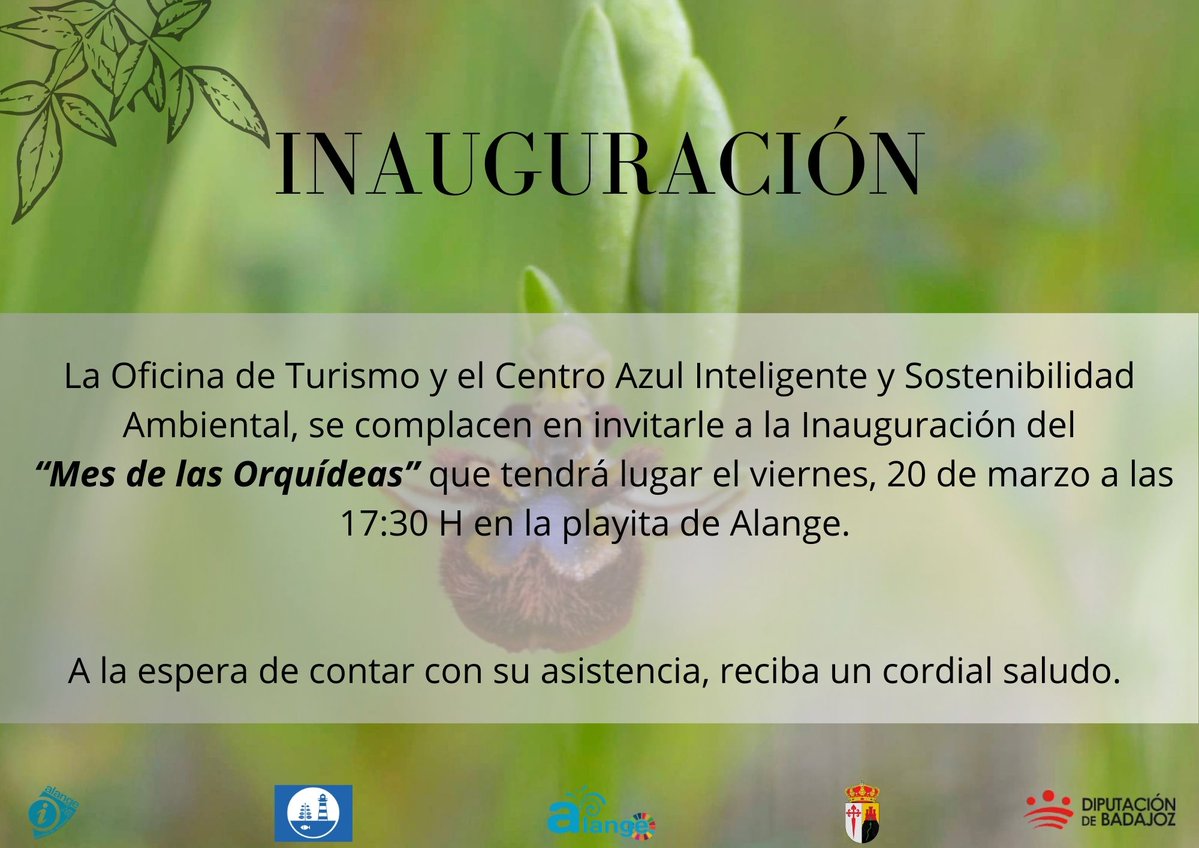 Turismo de Alange tweet media