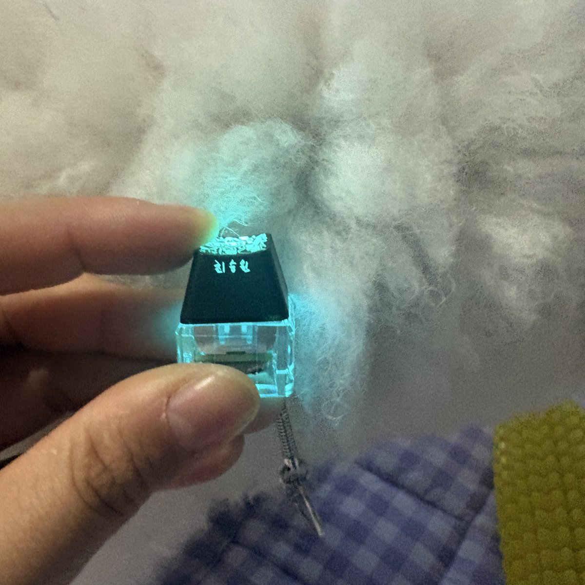 반바지 tweet media