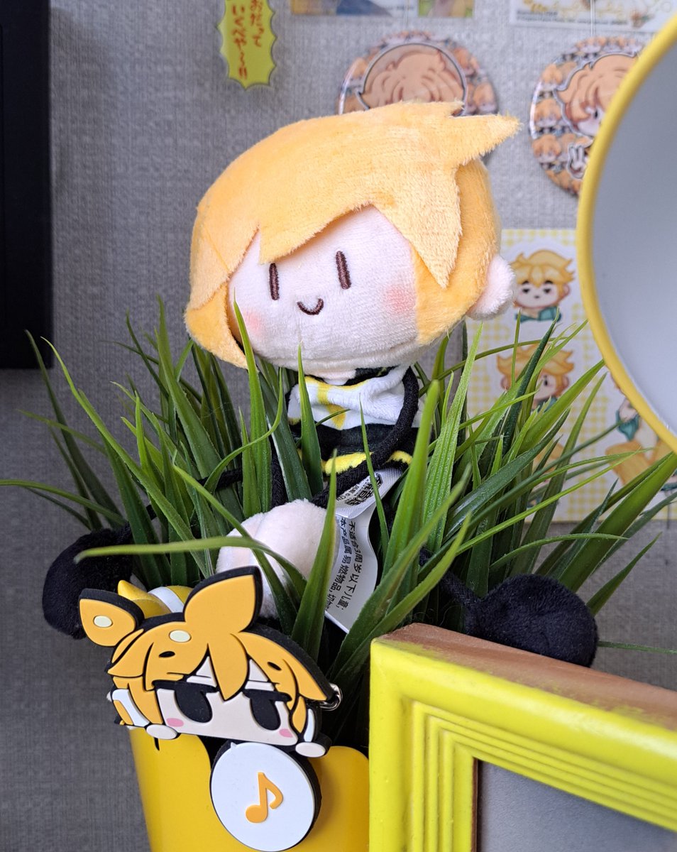 Акаруля tweet media