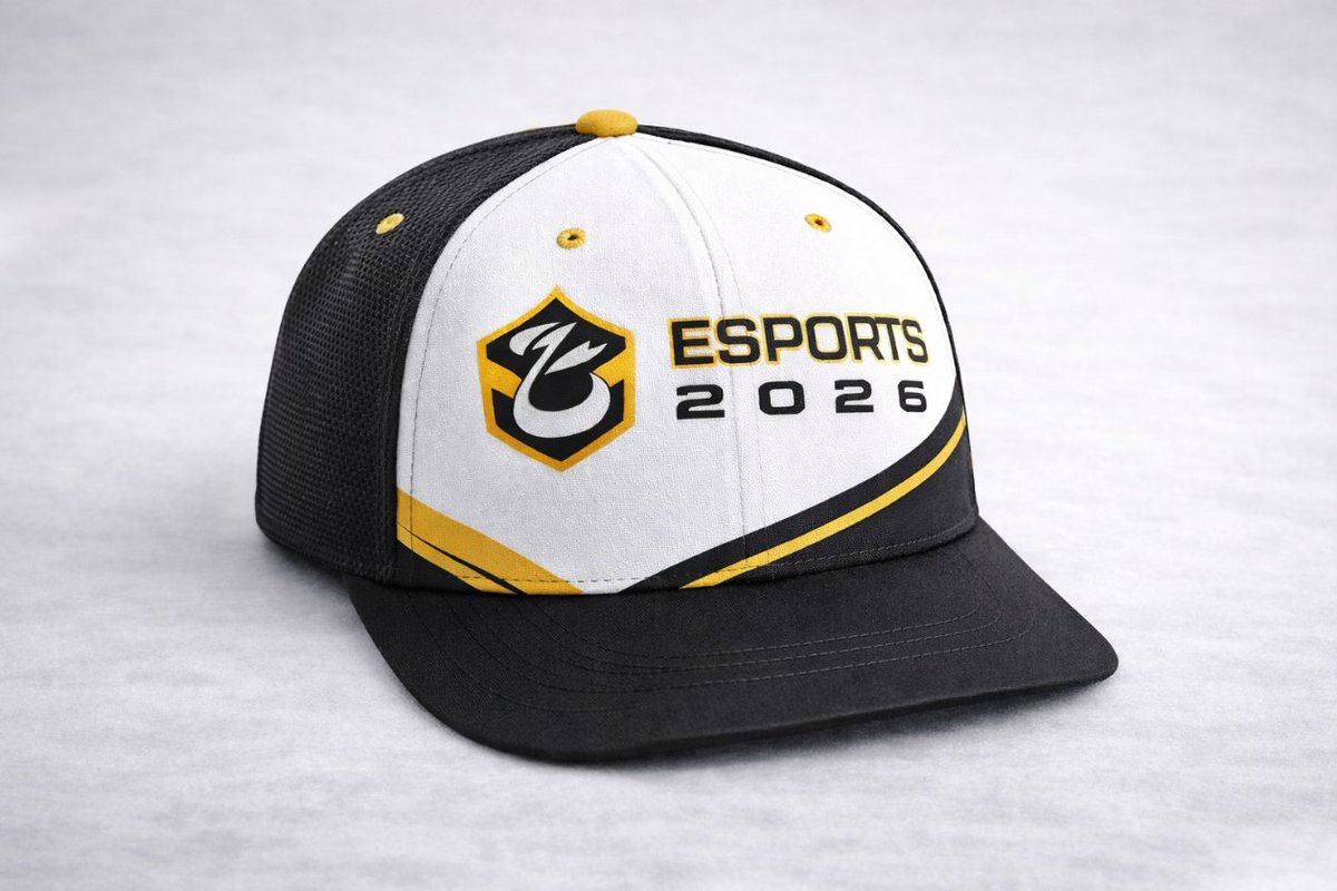 Shieldister Graphisme tweet media