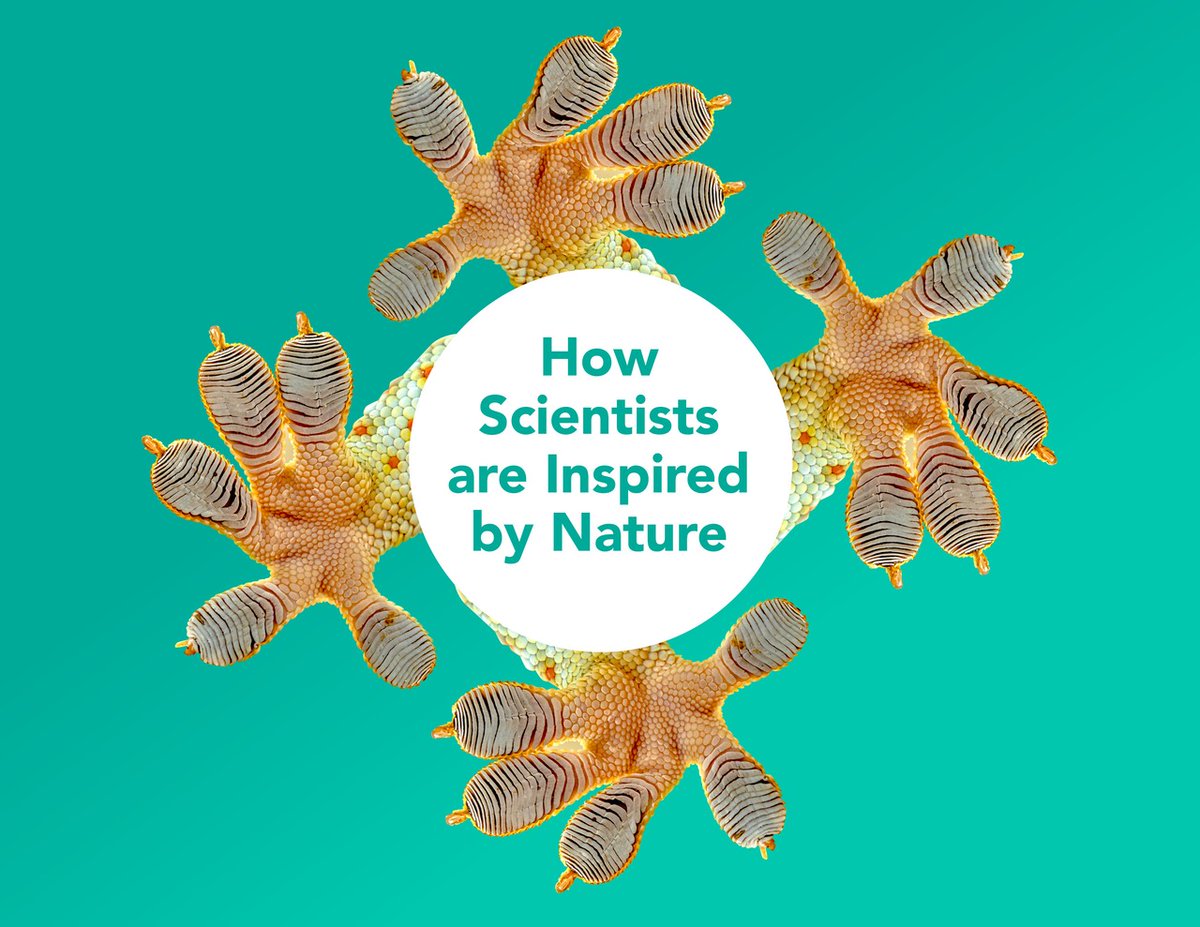 ZooLabUK tweet media