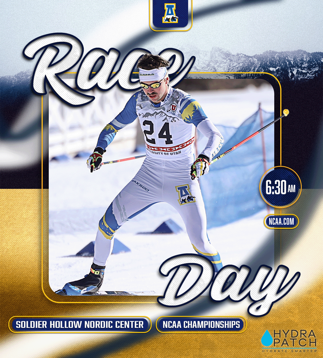 Nanooks Nordic Ski tweet media