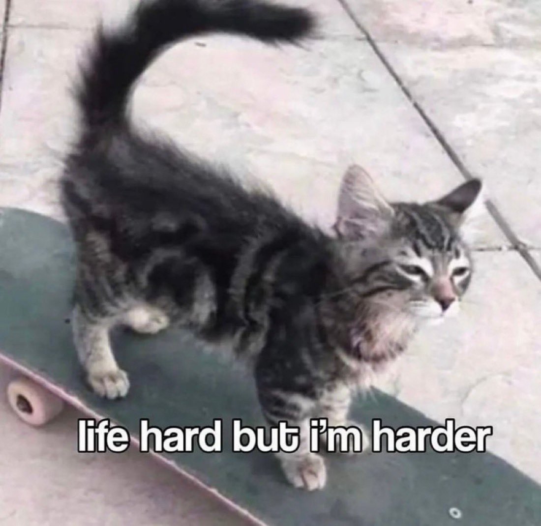 Phoenix𝕏 tweet media