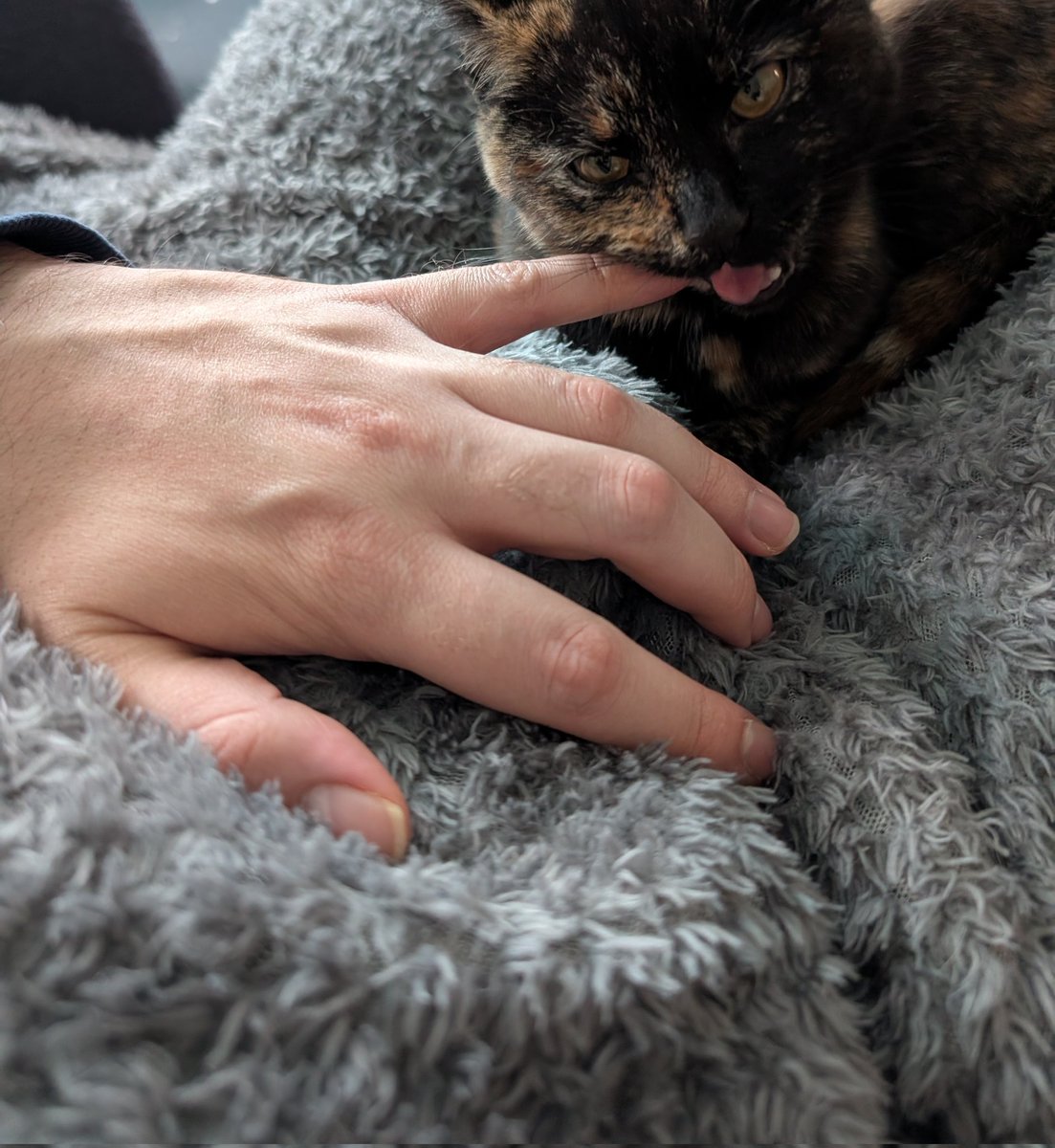 Math Rock tweet media