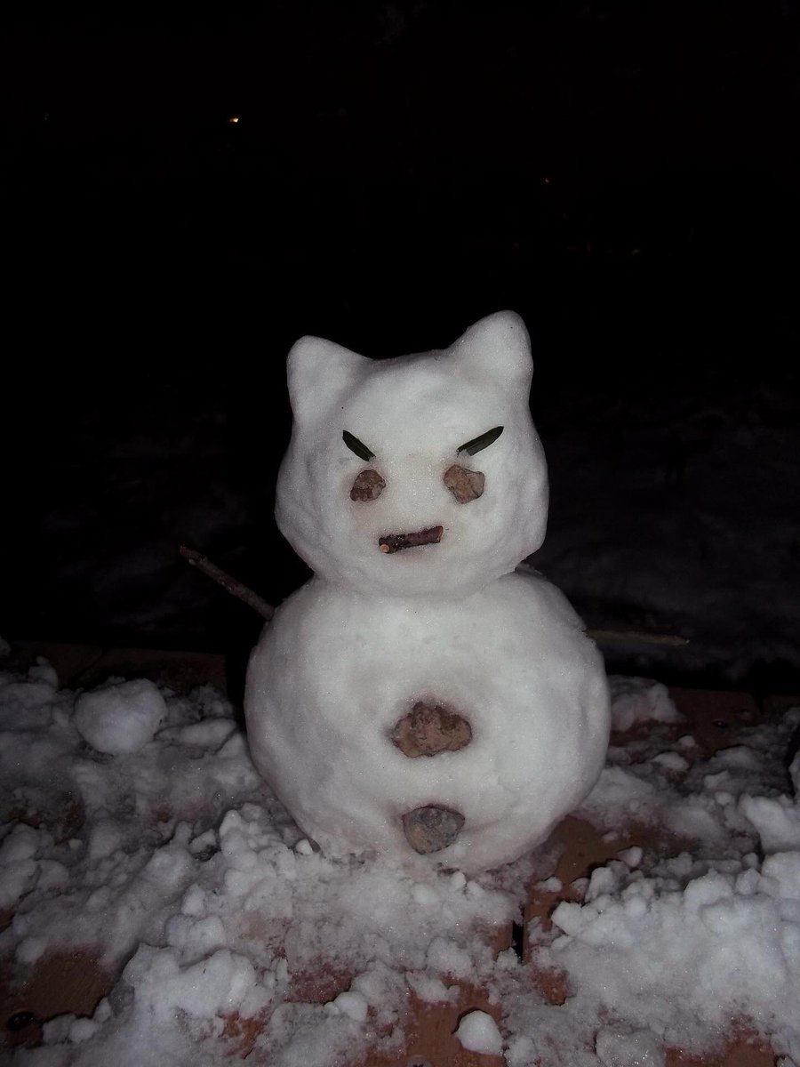 𝟑𝟒𝟓 tweet media