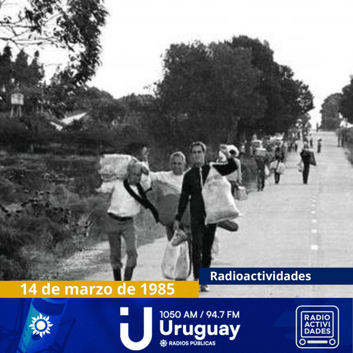 Radioactividades tweet media