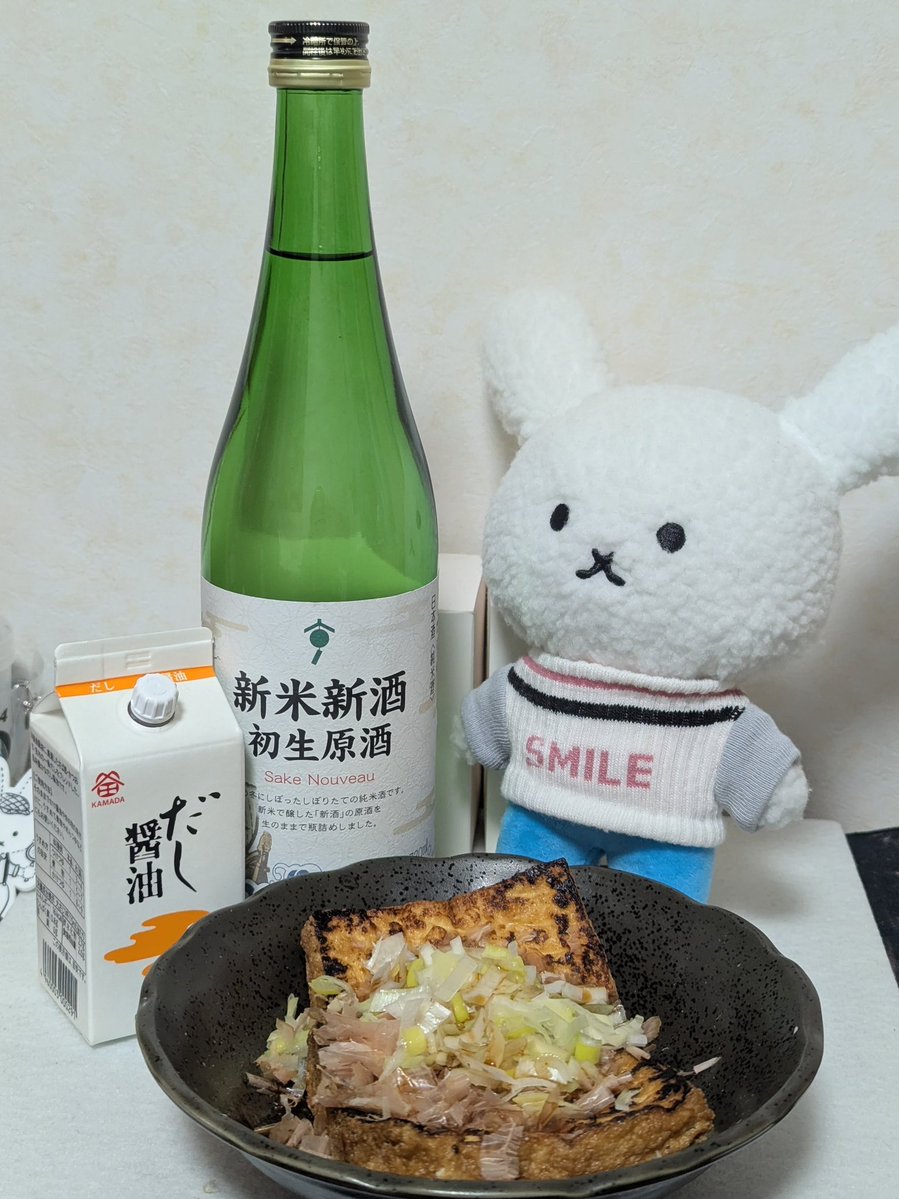 かわいいと思って撮ったんですけど、あぷらびくん引いてない？！ねえ、なにその顔😂美味しいよっ、厚揚げに白ネギとかつお節と鎌田さんのだし醤油かけたやつ！