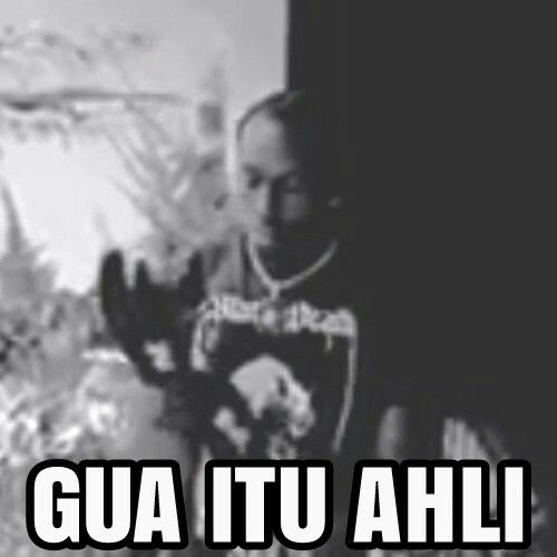 aedienda tweet media