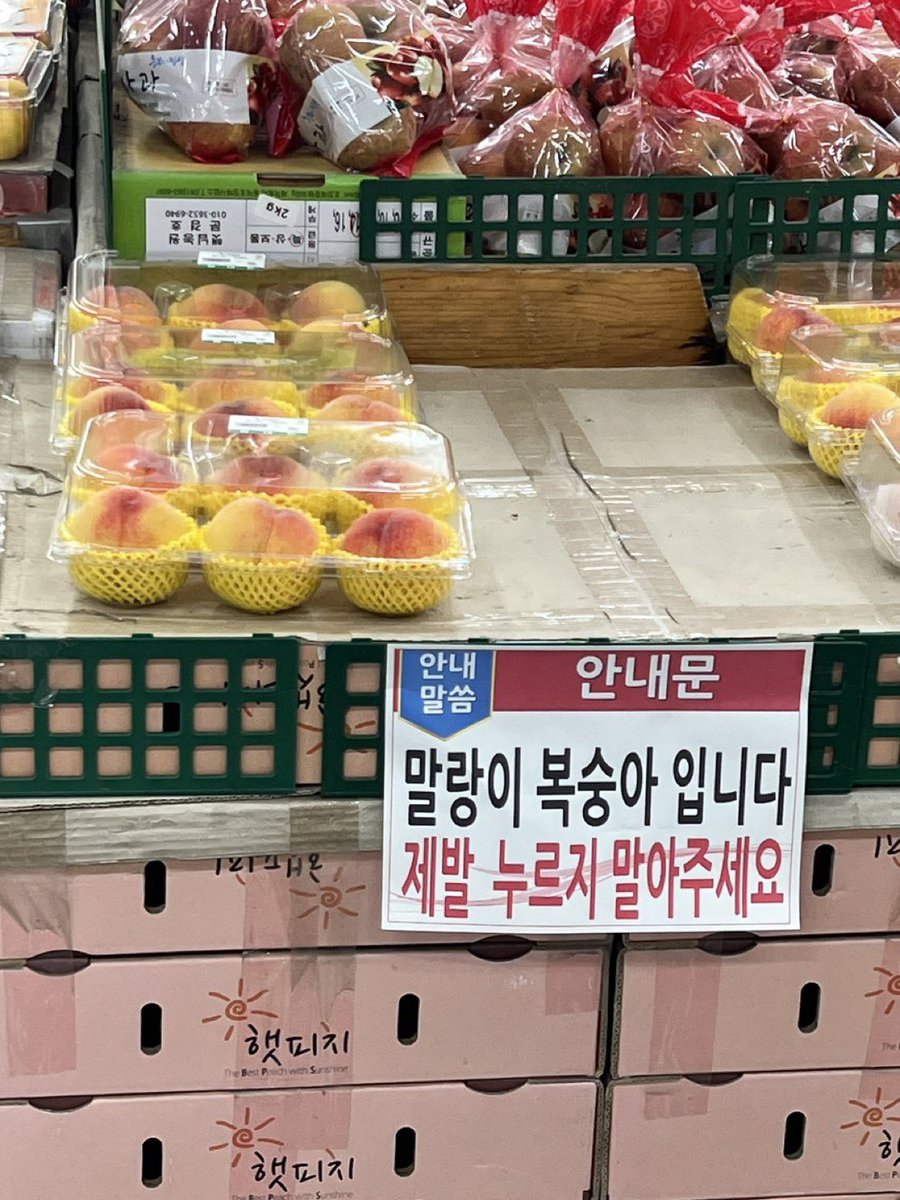 프리라떼주인 tweet media