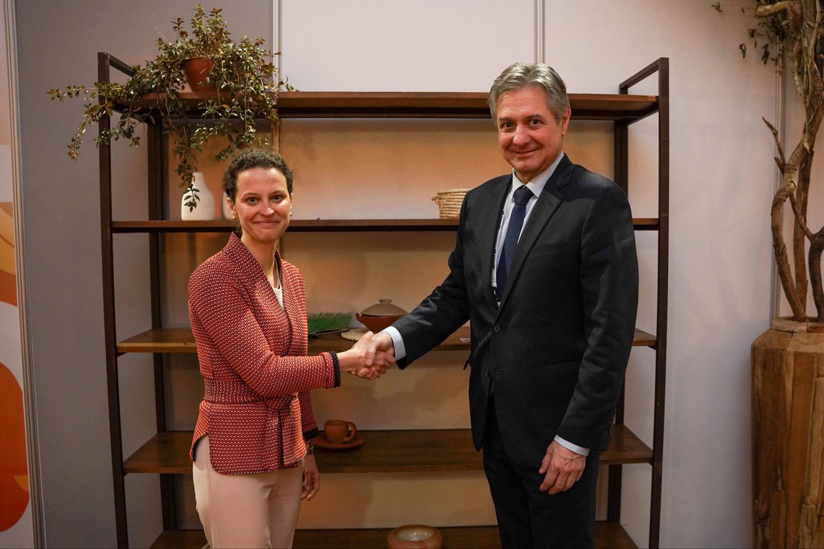 Susana Cordeiro Guerra tweet media