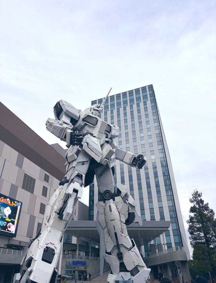 この子のアングルってなにが最適解なんですか🖐️