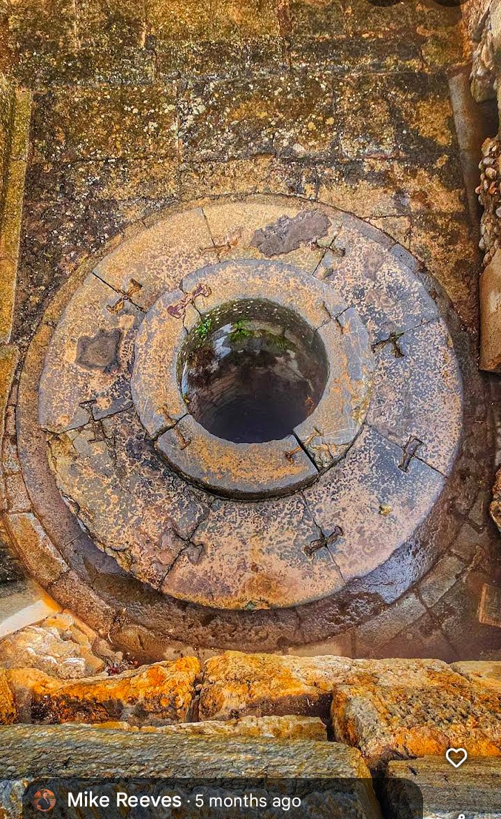 Maria Korh tweet media