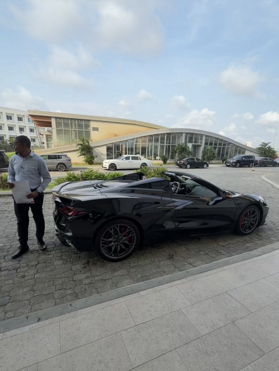 D3VID 🐢 tweet media