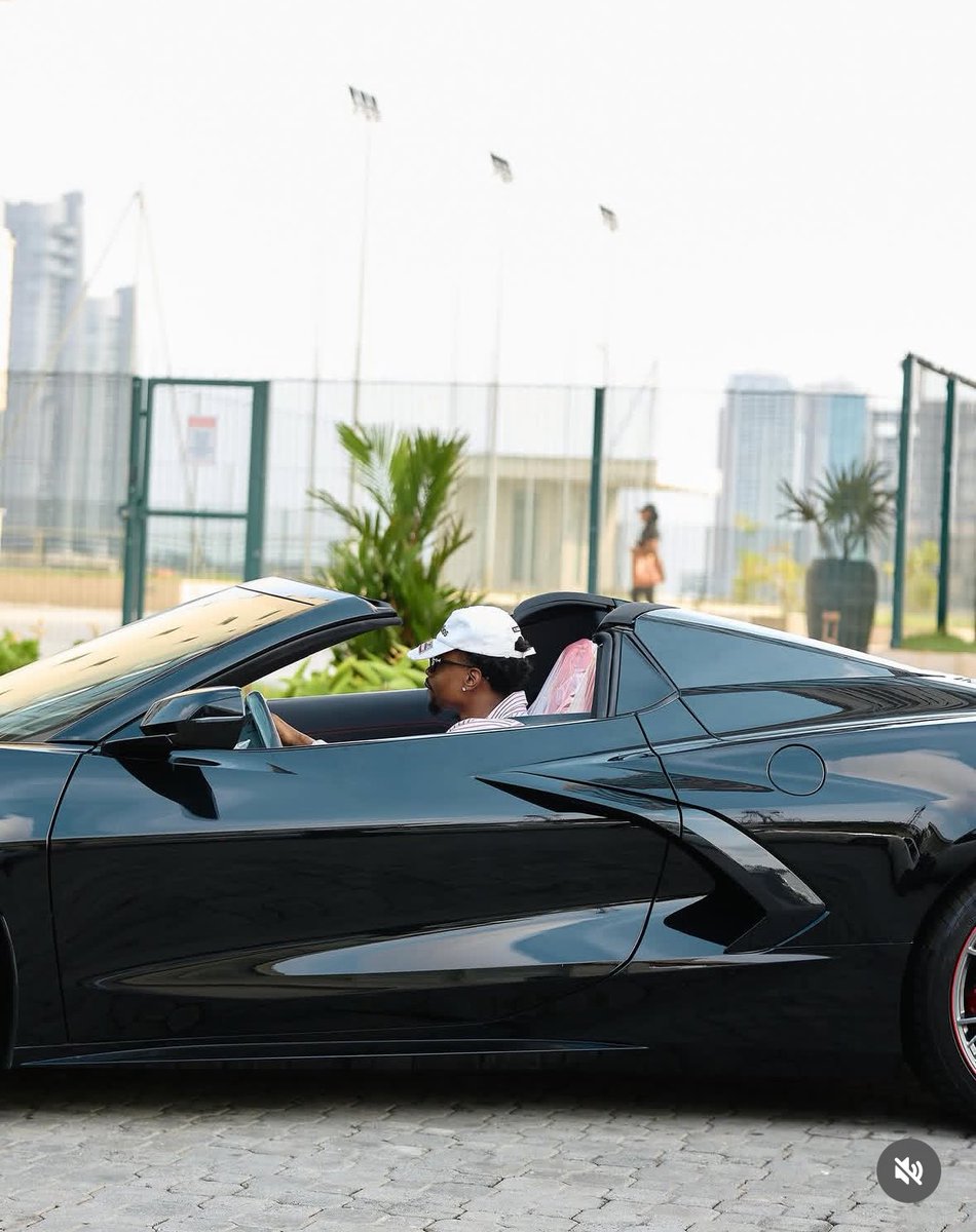 D3VID 🐢 tweet media