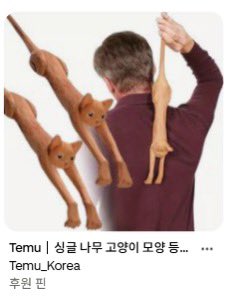 뚱참치 tweet media