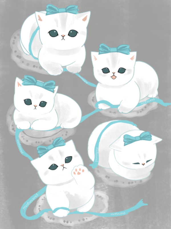 ぢゅの🐈 tweet media